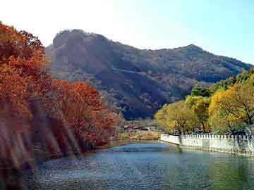 澳门天天免费精准大全，水平仪型号